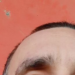 �����, �����������, 39 ���