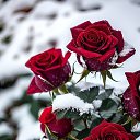 ���� Mila, ������ - ��������� 2 ������� 2026 � ������ ���� ����������