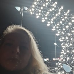 ���, �������, 48 ���