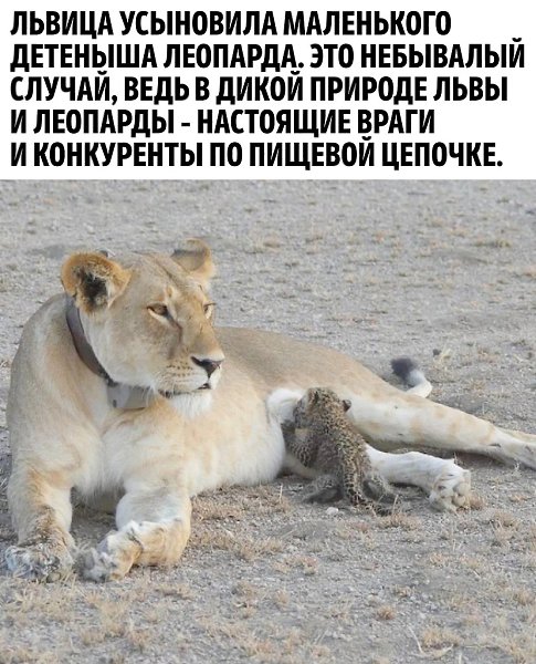 � ���� ��� �� ����� ������ - 3