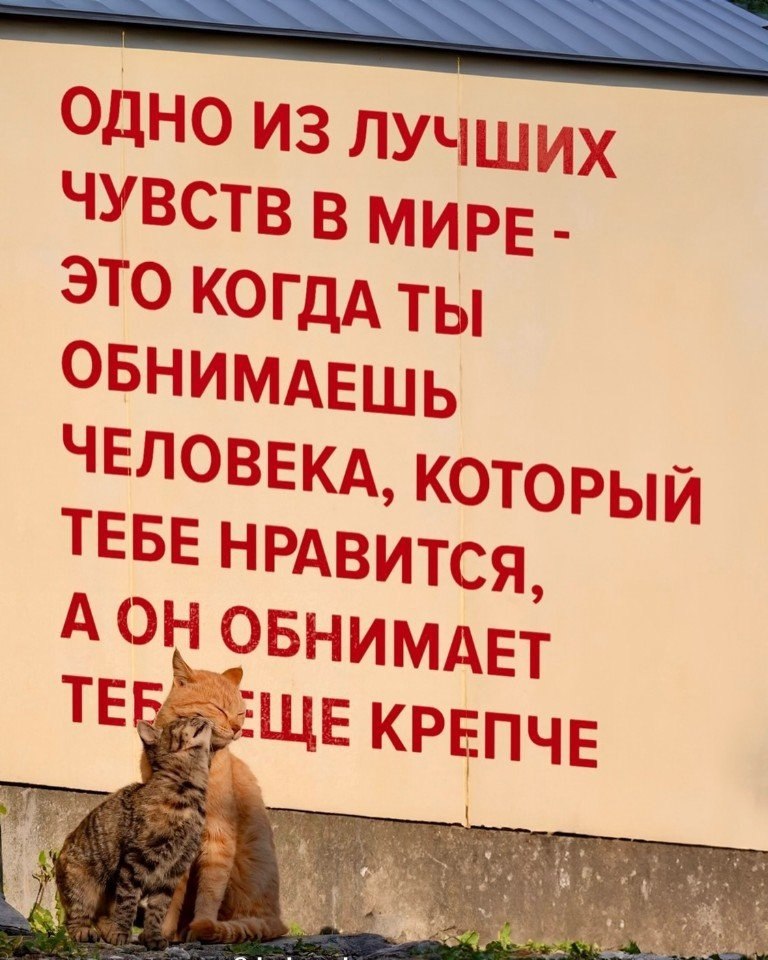   - 19  2024  10:24