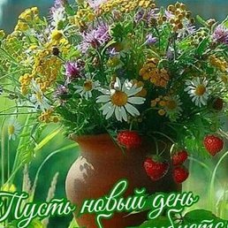 ����, ������, 37 ���