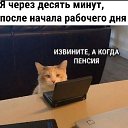 ���� ����, ����-�����������, 47 ��� - ��������� 9 ������� 2024 � ������ ���� ����������