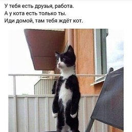 ������, ��������, 44 ����