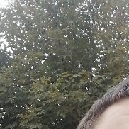 , 36 , 