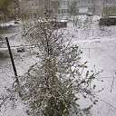 ���� ���������, ���������� - ��������� 29 ������ 2025 � ������ ������ ��������