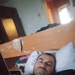 , 40, 