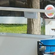 ������, 31 ���, ������