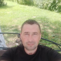  , 41, 