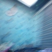 Firuza, 48 ���, �����