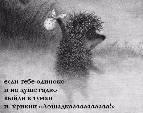 ☆☆☆  XX  ☆☆☆ - 12  2024  01:01