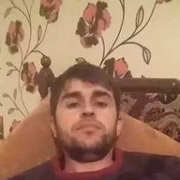 , 37, 