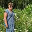 ���� �������� ����, �����, 68 ��� - ��������� 24 ���� 2024 � ������ ���� ����������