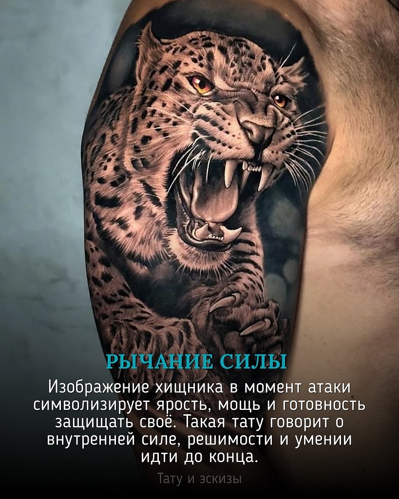    ,          .     ...