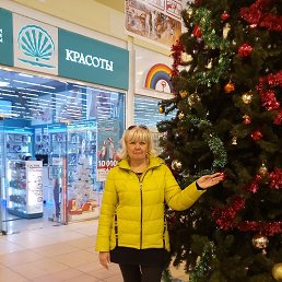 ���� ������, ���������, 55 ��� - ��������� 10 ������ 2026