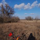 ���� �����, ������������ - ��������� 10 ����� 2026 � ������ ������ ��������