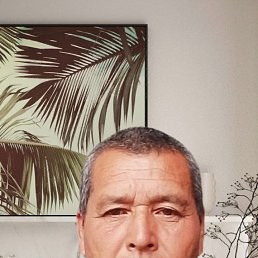 , 40, 
