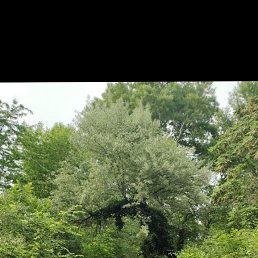 ���� �����, ������, 34 ���� - ��������� 14 ������ 2023