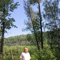 ���� �������, ��������, 72 ���� - ��������� 29 ������ 2024