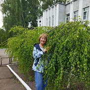 �����, , �����