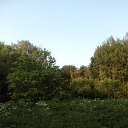 ���� O!, ������, 67 ��� - ��������� 13 ������ 2026 � ������ ����������
