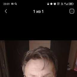 , 62, 