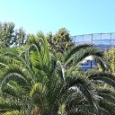 ���� �������, ������-���, 57 ��� - ��������� 29 �������� 2025 � ������ ���� ����������