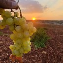 ���� 🇹🇷🔥Ismail, ���������, 46 ��� - ��������� 4 ������ 2026 � ������ ������ ��������