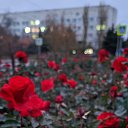 ���� ��������, ������, 44 ���� - ��������� 2 ���� 2025 � ������ ���� ����������