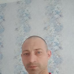 , 41, 