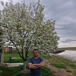 , 39 , 