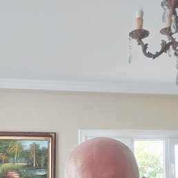 , 56, 