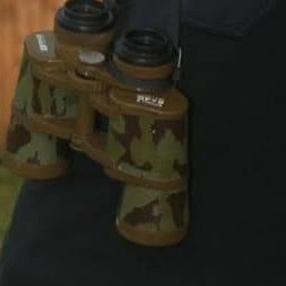 ������� ��������, ������, 40 ���