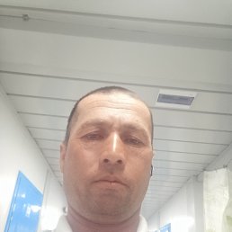, 36, 