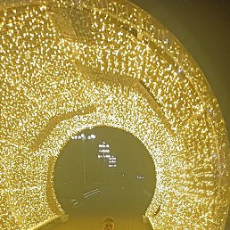 �����, 21 ���, ����������