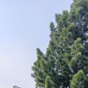 ���� �����, ���������, 61 ��� - ��������� 14 ������ 2026 � ������ ���� ����������