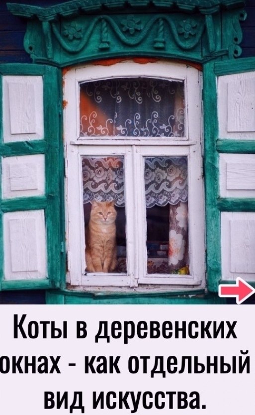 ��c����� ��o�� ��������