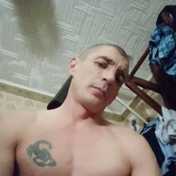 , 40, 