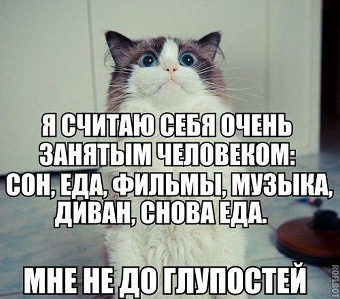 ? ,  ! - 7  2025  06:39
