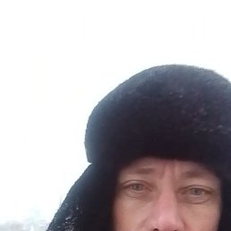 �����, 40 ���, �������