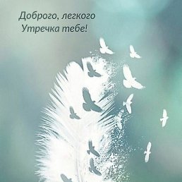 �����, ����, 61 ���