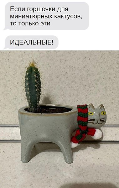 JPG - 29 ������� 2023 � 20:38