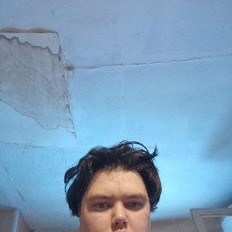 �����, 29 ���, ������