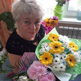 ������, �����������, 49 ���