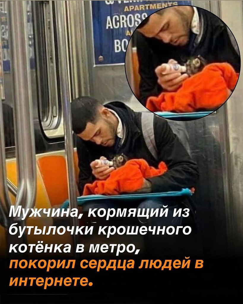 ������������. �������, ������� � ���-�������� �����, ����� �������������� ����, ��� ������� ������ ...