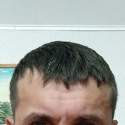 , 44, 