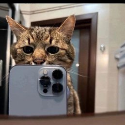 Gucci, ������������, 25 ���