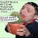 ���� ���������, ������, 67 ��� - ��������� 24 ����� 2026