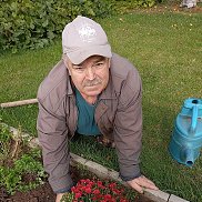 �����, 65 ���, ������