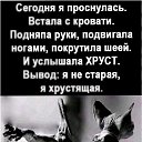 ���� �������, ������ - ��������� 10 ����� 2024 � ������ ������ ��������